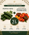 FORMATO MOJETEO
